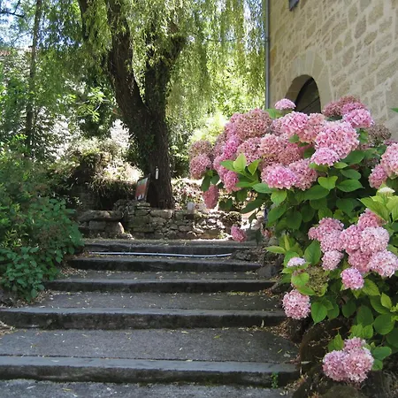 Restaurant Le Murier De Viels - Grand Figeac ホテル 3*